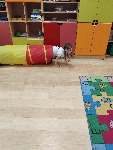 1000051718.jpg