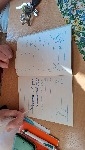 20250328_090034.jpg