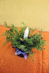 IMG-20231129-WA0028.jpg
