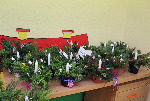 IMG-20231129-WA0030.jpg