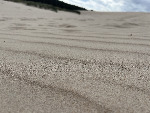 IMG-3611.jpg