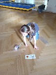 IMG20250312150946.jpg