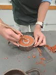 IMG_20240515_094052.jpg