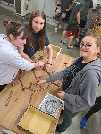 IMG_20240515_095156_1.jpg