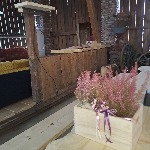 IMG_20241122_090715.jpg