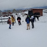 IMG_20241122_091541.jpg