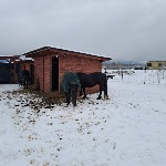 IMG_20241122_091820.jpg