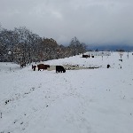 IMG_20241122_094708.jpg