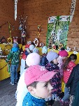 IMG_20250410_122138.jpg
