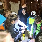 IMG_20260911_105531.jpg