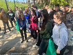 IMG_7947.jpg