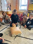 IMG_8105.jpeg