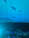 IMG_9400.jpeg