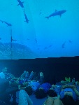 IMG_9401.jpeg