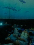 IMG_9402.jpeg