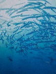IMG_9403.jpeg