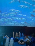 IMG_9404.jpeg