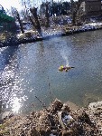 Messenger_creation_814F1623-C411-467C-9E24-65BB874291AB.jpeg